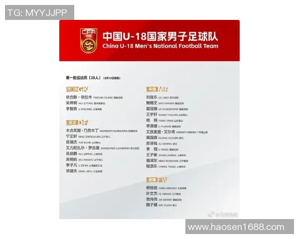 中国足球球星年龄分布排行榜揭示各代球员实力差异与未来潜力